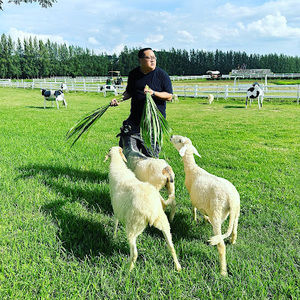 Meet your Posher, Andy